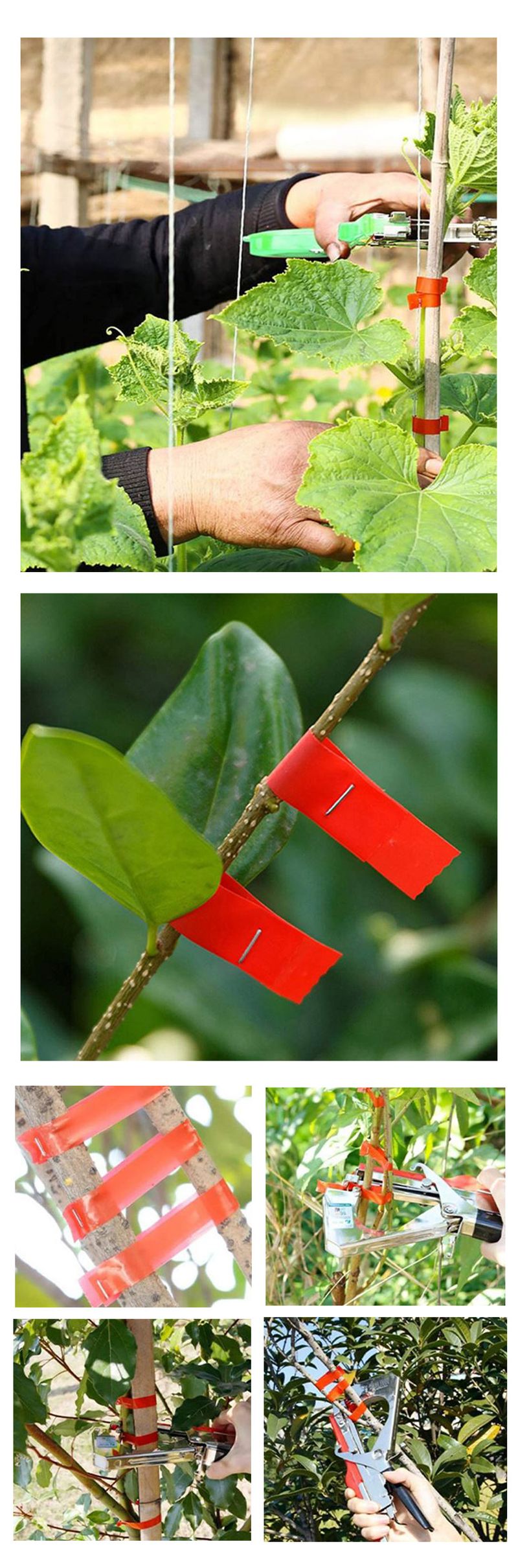 유니즈님의 장터 판매 상품 [농업용 결속기 결속끈 식물유도 유인끈 유인결속 포도 고추 오이 열매 고추끈 식물끈 줄기끈 가지끈] 첨부 사진
