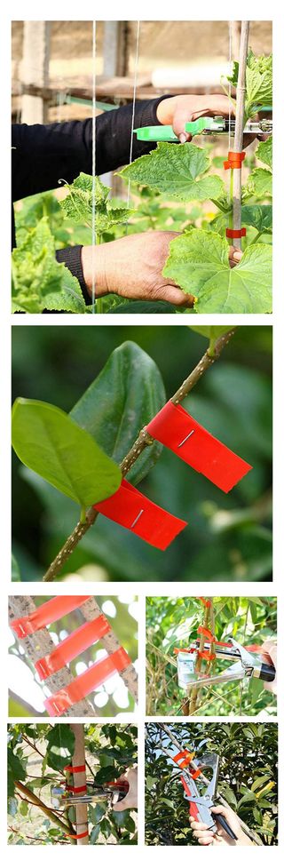 유니즈님의 작성글 사진