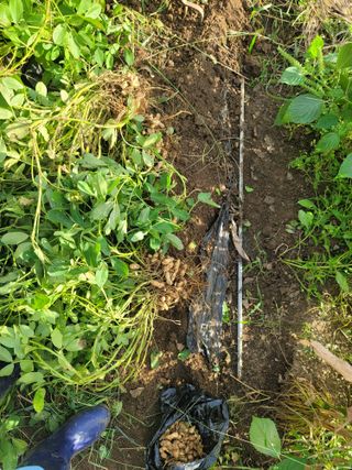 jun님의 기타작물 · 영농일지 작성글 사진