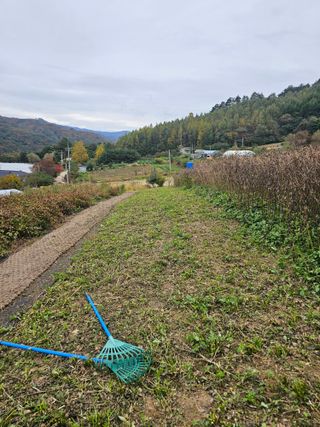 홍천산채농원님의 자유주제 · 자유게시판 작성글 사진