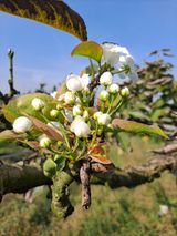 팜모닝 자유주제·자유게시판 게시글 이미지