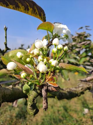 박미스터님의 자유주제 · 자유게시판 작성글 사진