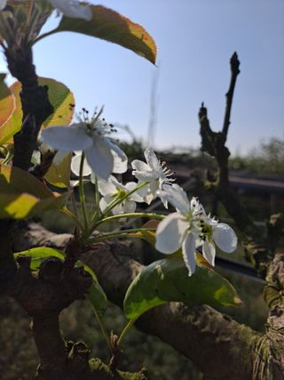 박미스터님의 자유주제 · 자유게시판 작성글 사진
