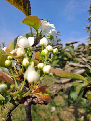박미스터님의 자유주제 · 자유게시판 작성글 사진