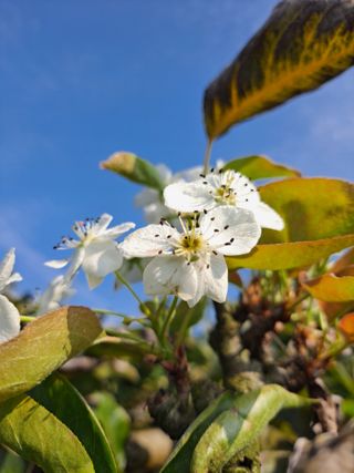박미스터님의 자유주제 · 자유게시판 작성글 사진