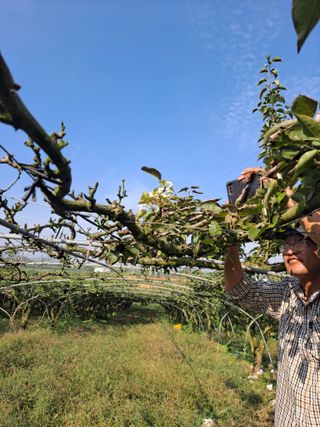 박미스터님의 자유주제 · 자유게시판 작성글 사진