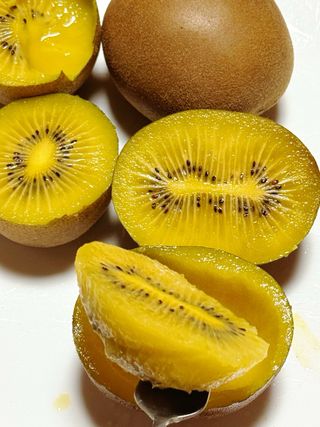 농부손녀님의 자유주제 · 자유게시판 작성글 사진