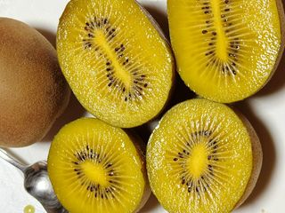 농부손녀님의 자유주제 · 자유게시판 작성글 사진