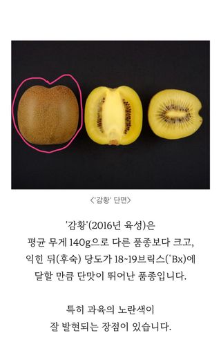 농부손녀님의 자유주제 · 자유게시판 작성글 사진
