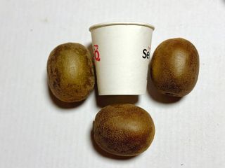 농부손녀님의 자유주제 · 자유게시판 작성글 사진