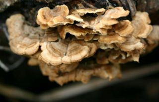 배추12035.부남님의 자유주제 · 자유게시판 작성글 사진