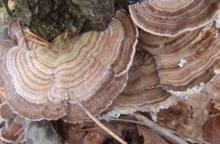 배추12035.부남님의 자유주제 · 자유게시판 작성글 사진