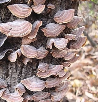 배추12035.부남님의 자유주제 · 자유게시판 작성글 사진