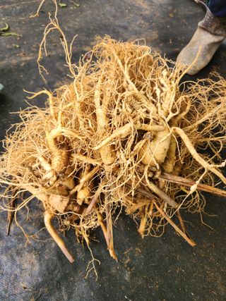 문귀순님의 자유주제 · 자유게시판 작성글 사진