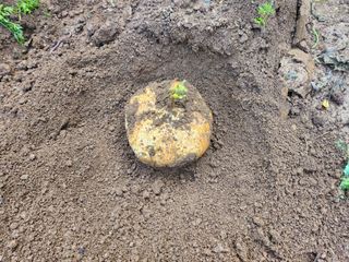 김진환님의 자유주제 · 자유게시판 작성글 사진