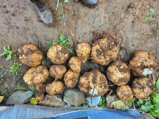 김진환님의 자유주제 · 자유게시판 작성글 사진