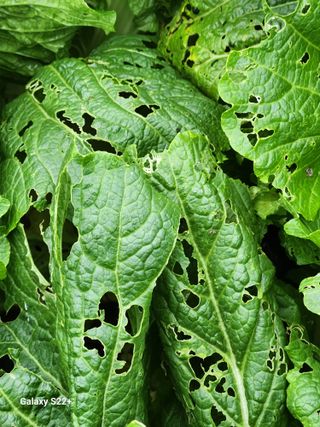 이봉한 님의 자유주제 · 건의해요 작성글 사진