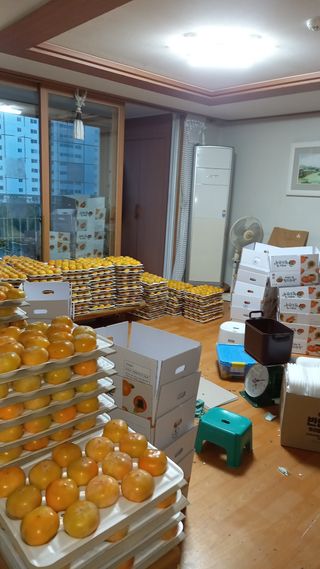 대지털님의 자유주제 · 자유게시판 작성글 사진