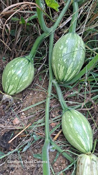 MSG0074님의 자유주제 · 자유게시판 작성글 사진