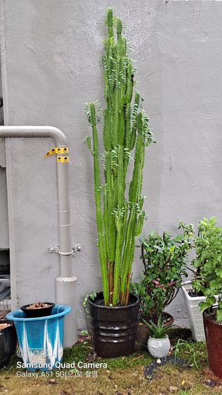 MSG0074님의 자유주제 · 자유게시판 작성글 사진