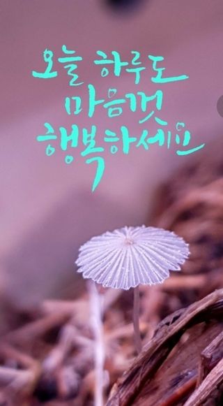 MSG0074님의 자유주제 · 자유게시판 작성글 사진