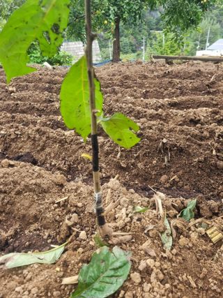 김용대님의 자유주제 · 자유게시판 작성글 사진