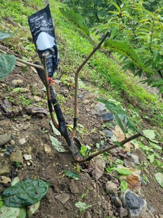 김용대님의 자유주제 · 자유게시판 작성글 사진