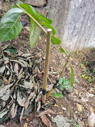 김용대님의 자유주제 · 자유게시판 작성글 사진