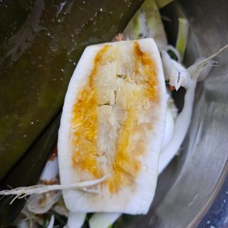백용기님의 자유주제 · 자유게시판 작성글 사진