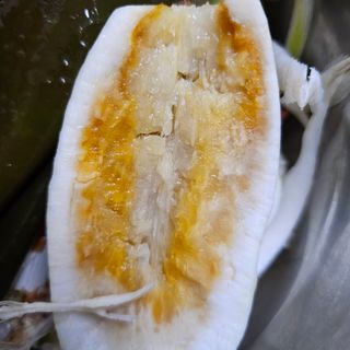 백용기님의 자유주제 · 자유게시판 작성글 사진