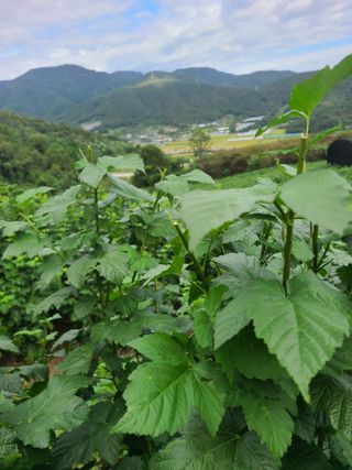 들깨15628님의 작성글 사진