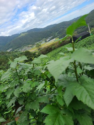 들깨15628님의 작성글 사진