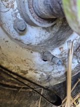 팜모닝 자유주제·자유게시판 게시글 이미지