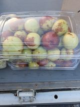 팜모닝 자유주제·자유게시판 게시글 이미지