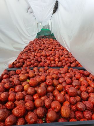 차상철님의 자유주제 · 자유게시판 작성글 사진