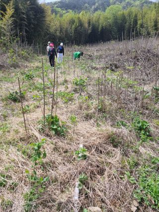 이순기님의 작성글 사진