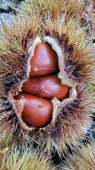 권혜전님의 자유주제 · 자유게시판 작성글 사진