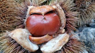 권혜전님의 자유주제 · 자유게시판 작성글 사진