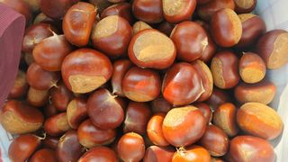 권혜전님의 자유주제 · 자유게시판 작성글 사진