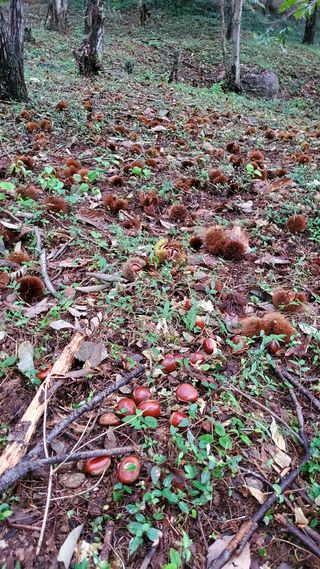 권혜전님의 자유주제 · 자유게시판 작성글 사진