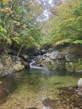 팜모닝 자유주제·자유게시판 게시글 이미지