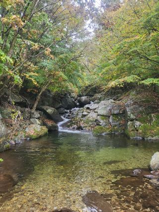 박광희님의 자유주제 · 자유게시판 작성글 사진