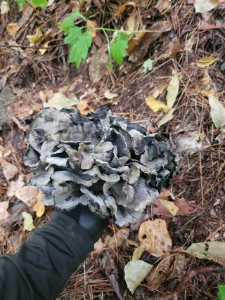 박광희님의 자유주제 · 자유게시판 작성글 사진