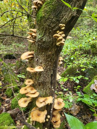 박광희님의 자유주제 · 자유게시판 작성글 사진