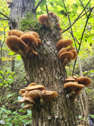 박광희님의 자유주제 · 자유게시판 작성글 사진