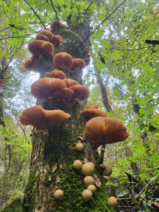 박광희님의 자유주제 · 자유게시판 작성글 사진