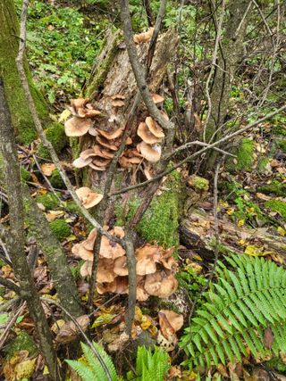 박광희님의 자유주제 · 자유게시판 작성글 사진