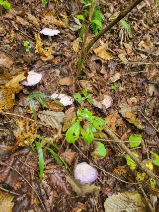 박광희님의 자유주제 · 자유게시판 작성글 사진
