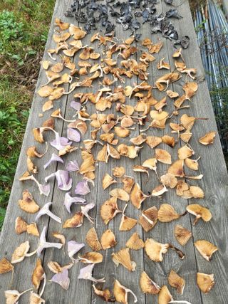 박광희님의 자유주제 · 자유게시판 작성글 사진