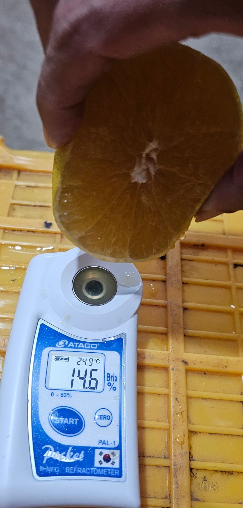 새달귤농장님의 장터 판매 상품 [고당도 황금향(혼합형)4.5키로] 첨부 사진